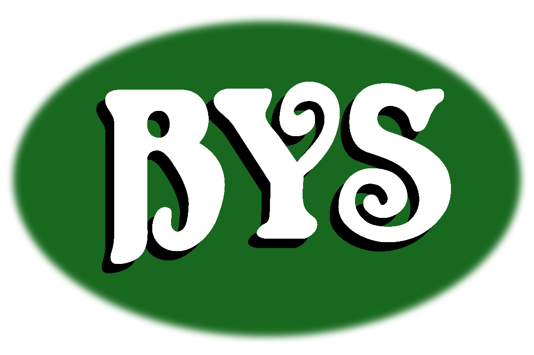 BYS Brewers Yeast